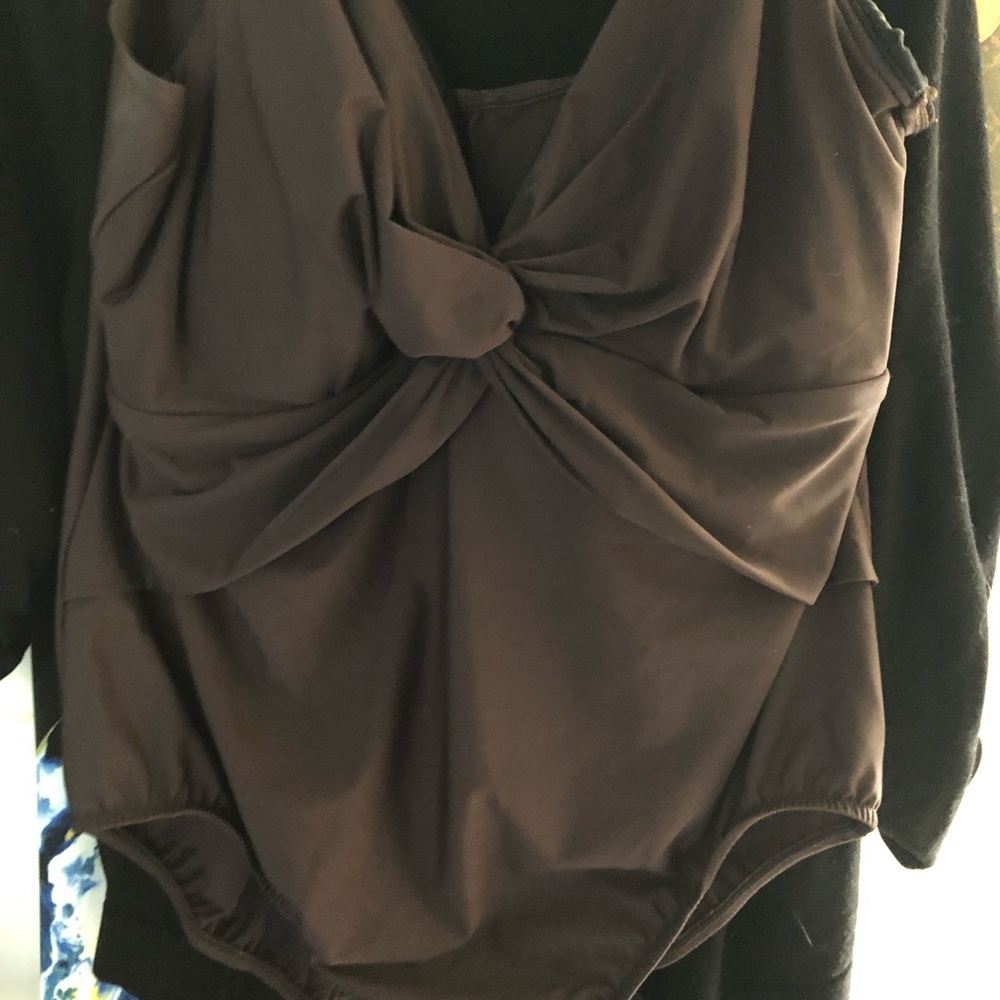 Miraclesuit Bathing Suit